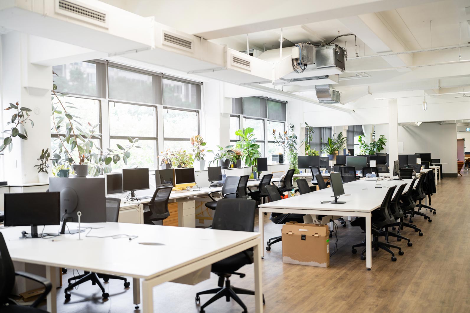 Spacious office with white desks, black chairs, computers, and natural light